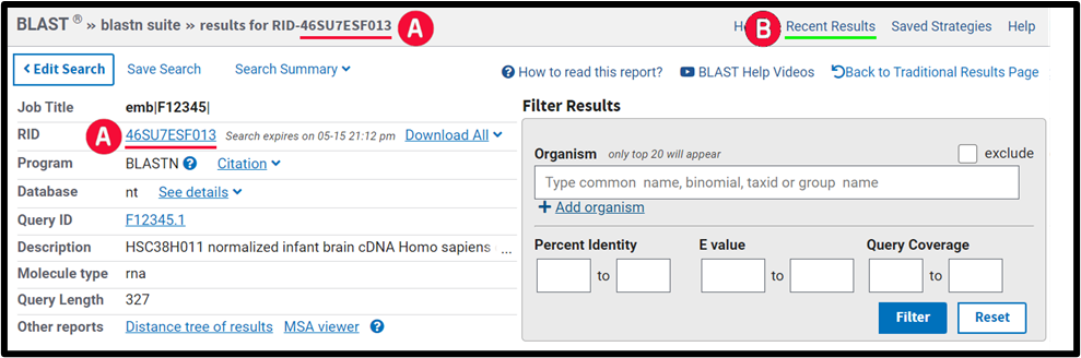 A web page with several rows of information on its left side describing BLAST search. The right side of the screen contains a box for filtering BLAST results.